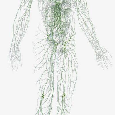 WhatsApp Image 2026-03-20 at 1.20.09 PM